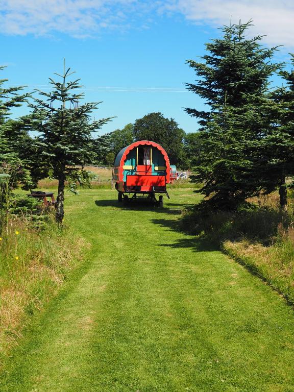 Zahrada ubytování Clissmann Horse Caravans Glamping