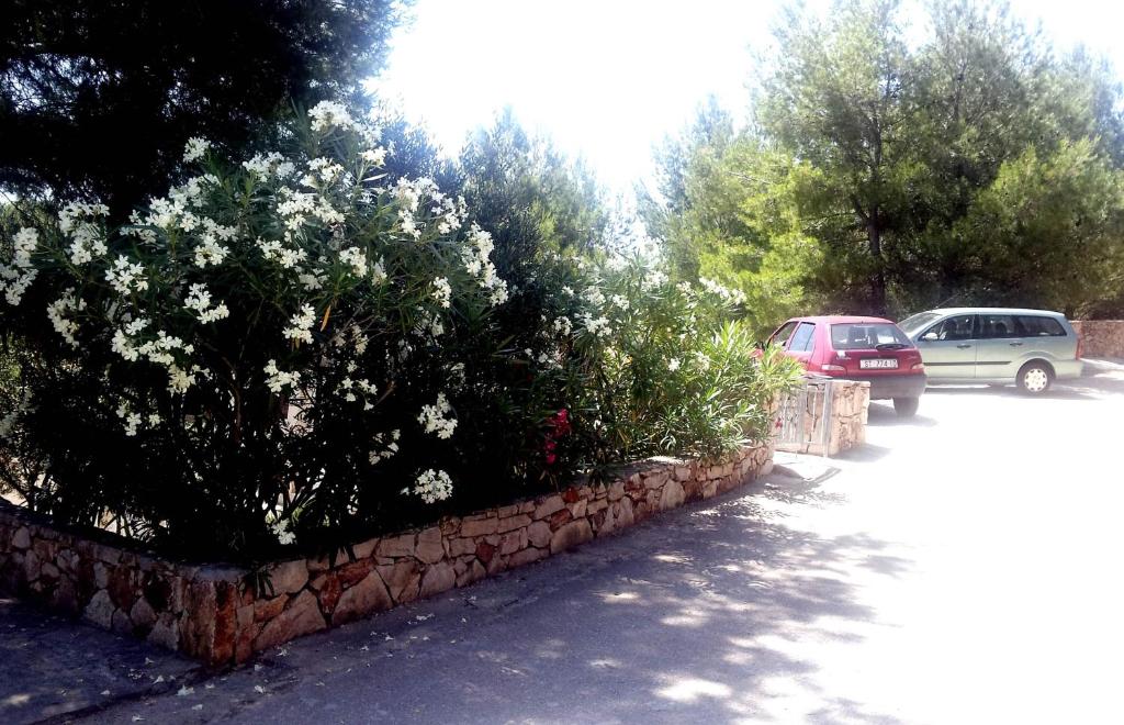 Zahrada ubytování Hvar Melody, Island Hvar, Rosohotnica Bay
