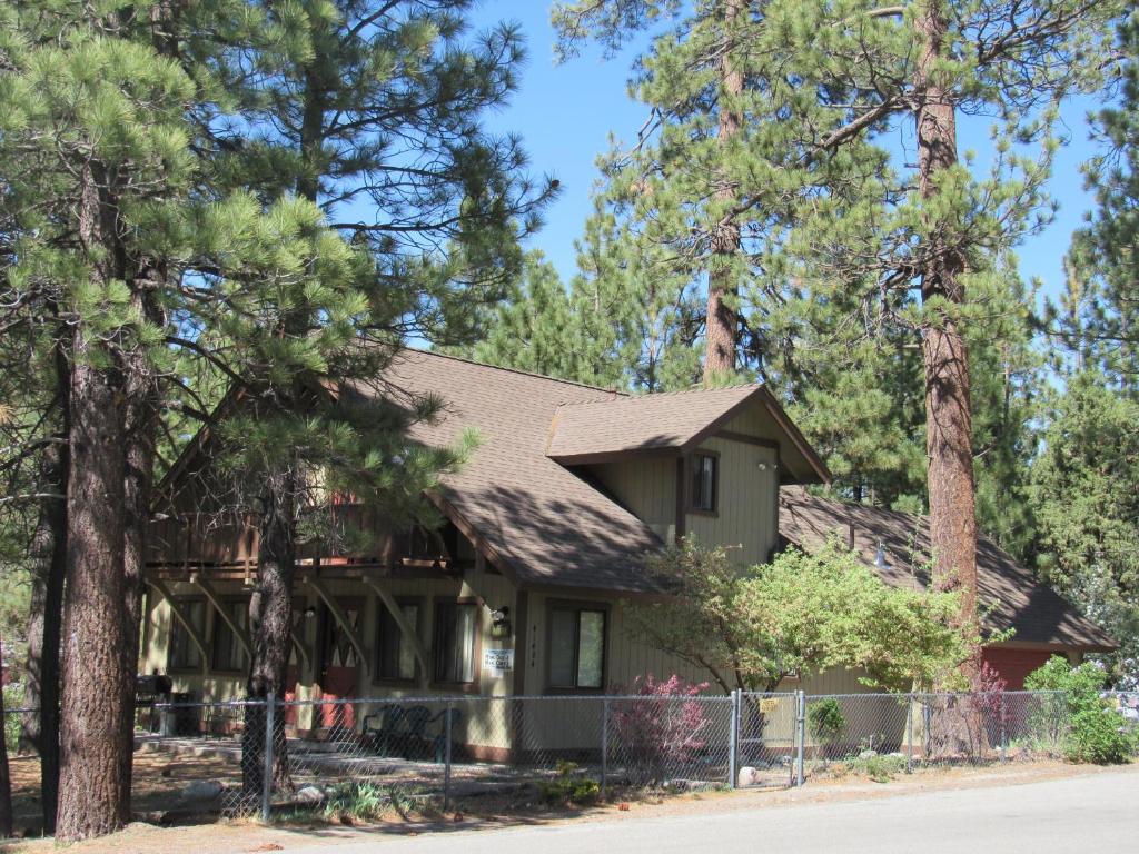 ein Haus im Wald mit Bäumen in der Unterkunft Miller's Outpost in Big Bear Lake