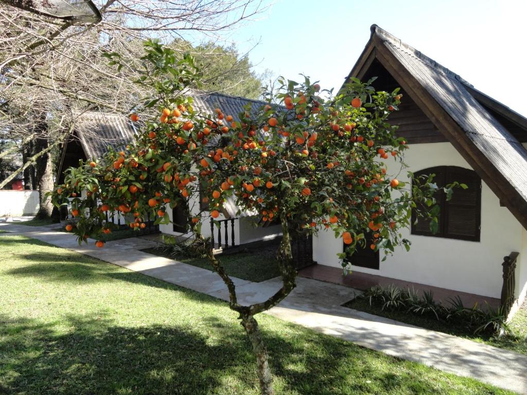  Hotel Pousada Dos Pinheiros