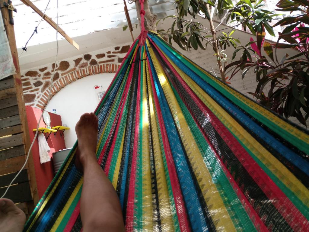 Fotografie z fotogalerie ubytování El Sunset Hostel v destinaci Puerto Vallarta