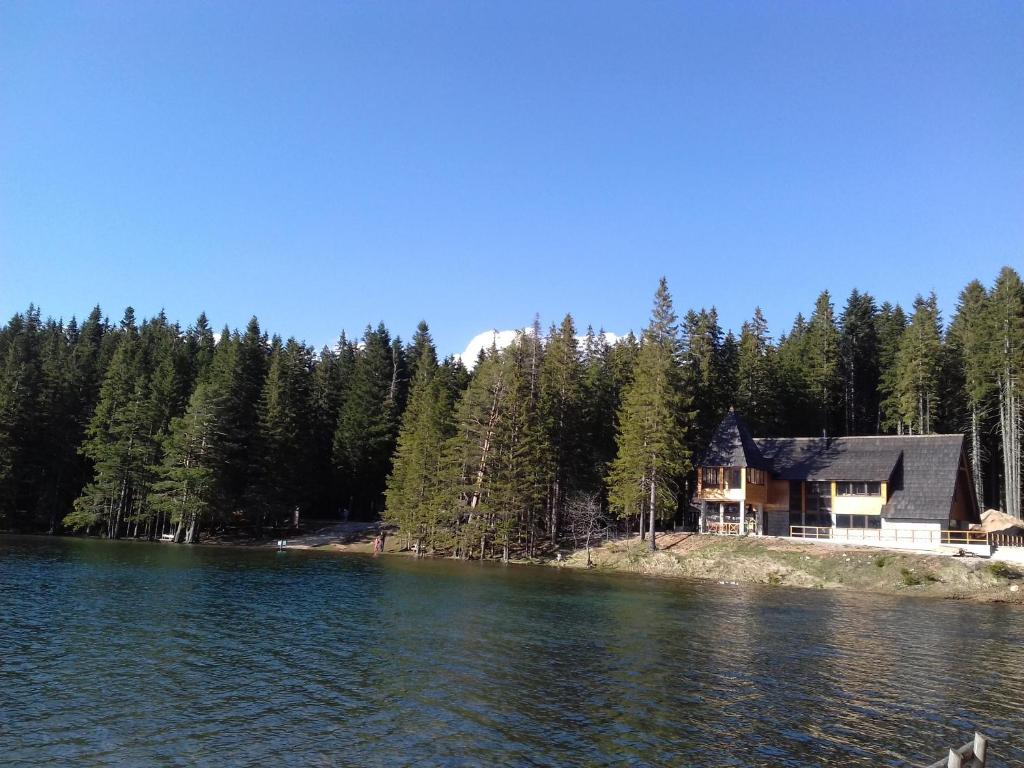 Příroda nedaleko apartmánu