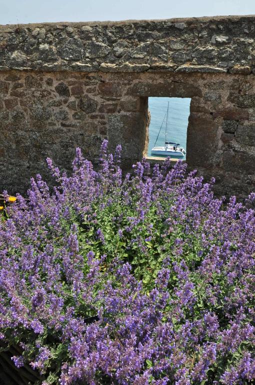 Saint Malo Solidor vue mer BRECEL 1 - 公寓