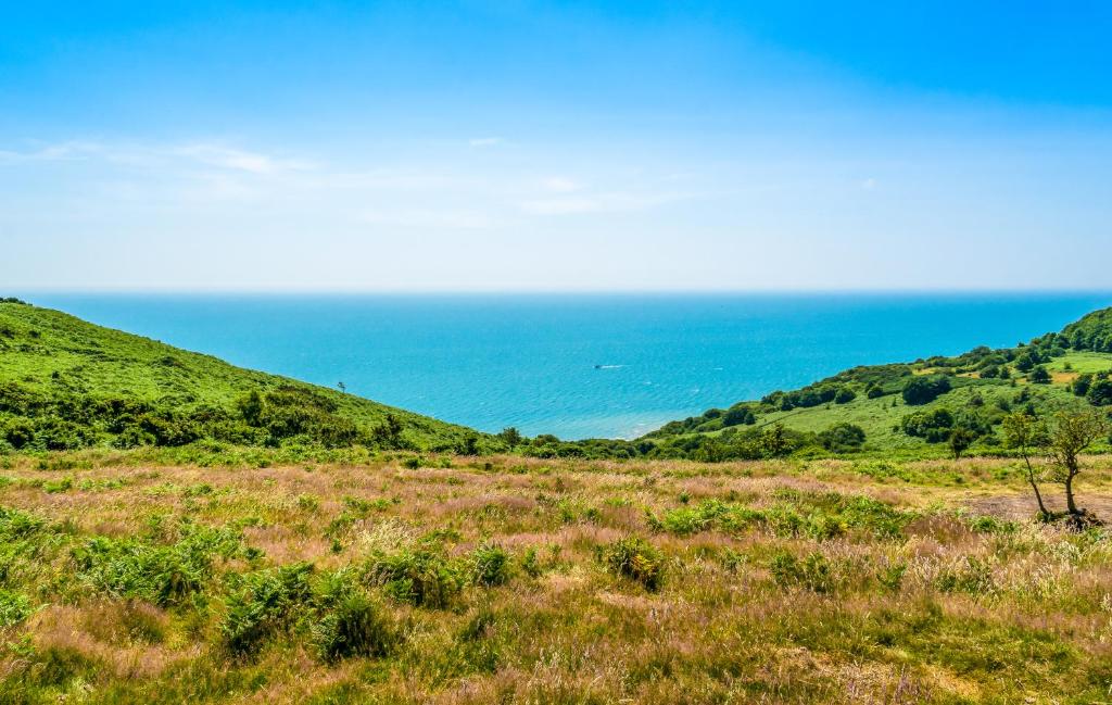 a field of grass with the ocean in the background at Sea View Holiday Flat - Covehurst Bay in Hastings