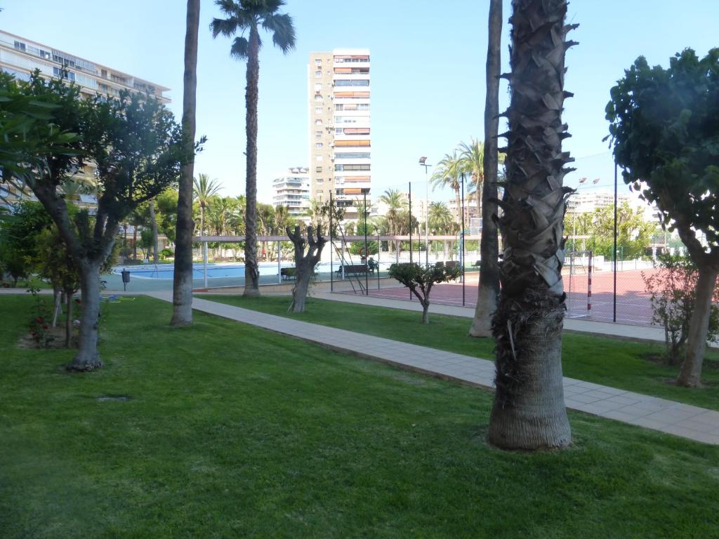 A garden outside Family and Friends - San Juan Playa