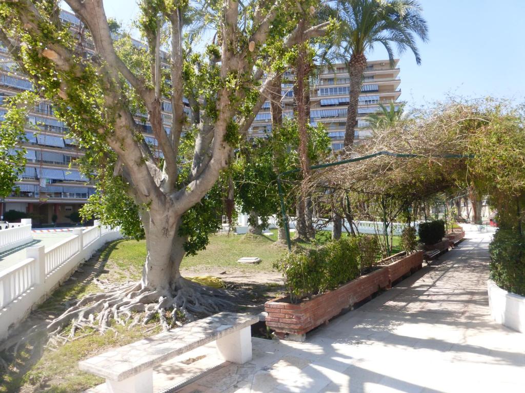 A garden outside Family and Friends - San Juan Playa