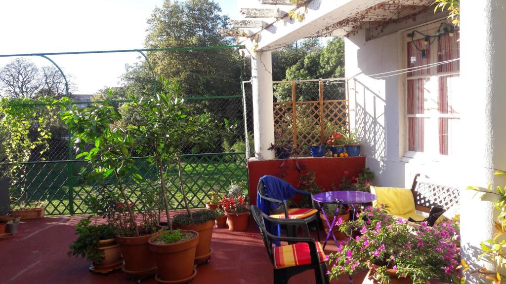 a patio with a bunch of potted plants at les camélias in Mazamet