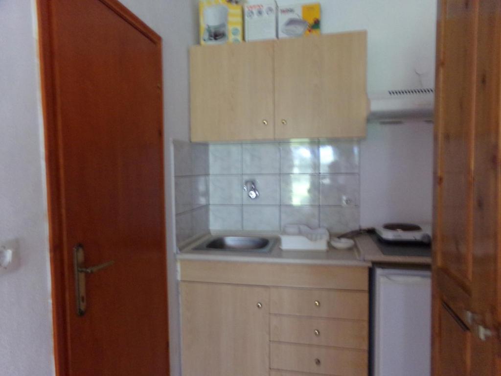 Kuchyň nebo kuchyňský kout v ubytování Villa Karapataki