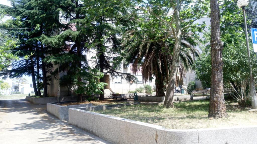 Vonkajšia záhrada v ubytovaní Apartments Zara- ZD
