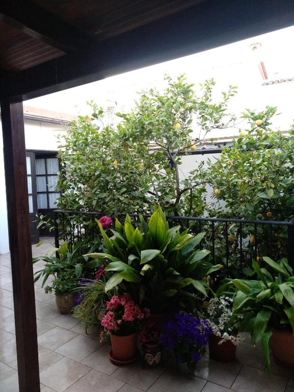 Fotografie z fotogalerie ubytování El Patio Andalú v destinaci Ardales