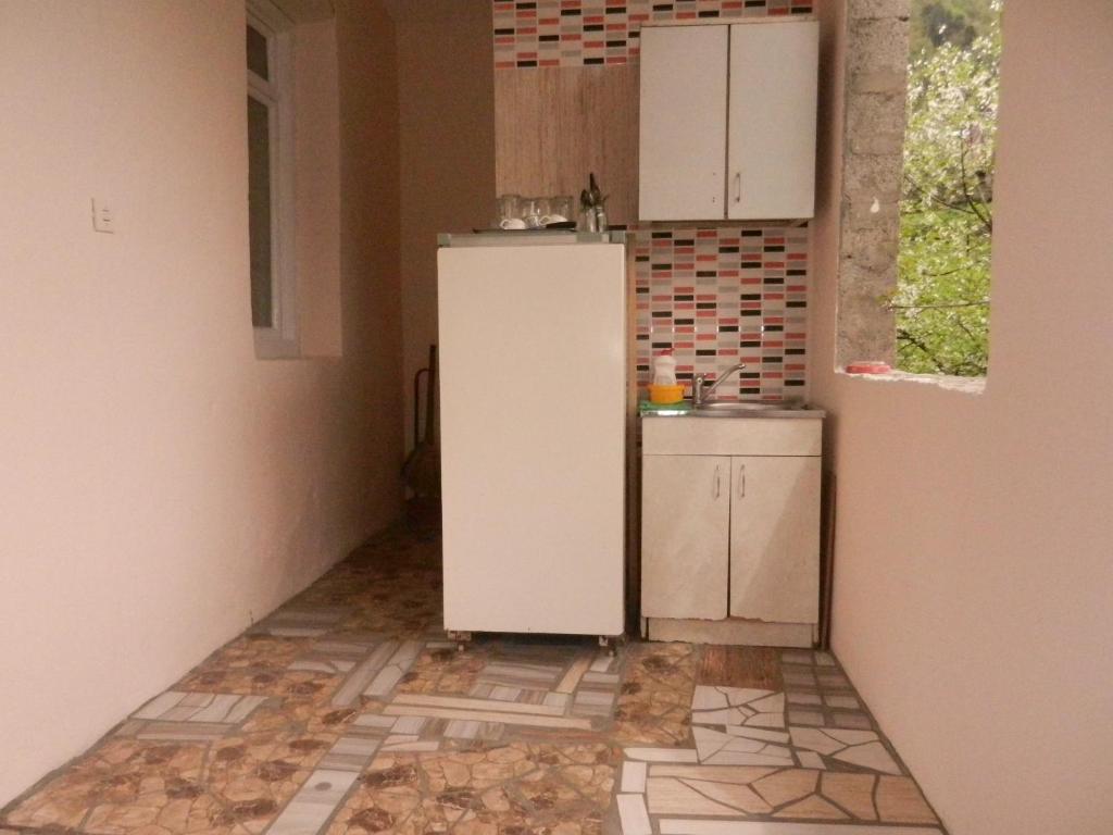 Kuchyň nebo kuchyňský kout v ubytování Guest house Katia