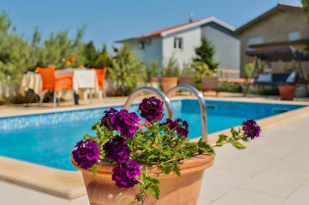 Bazén v ubytování Apartments Dora Victoria Dream nebo v jeho okolí