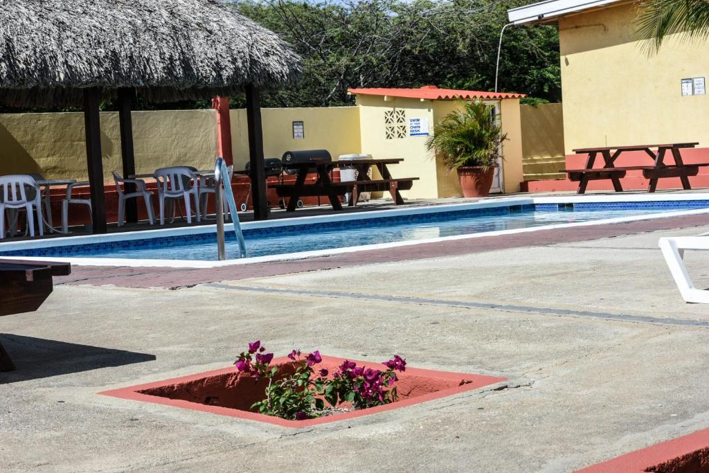 Bazén v ubytování Coconut Inn nebo v jeho okolí