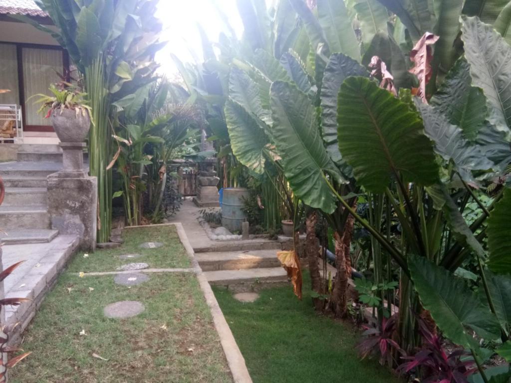 Kerta Family Bed and Breakfast - 17