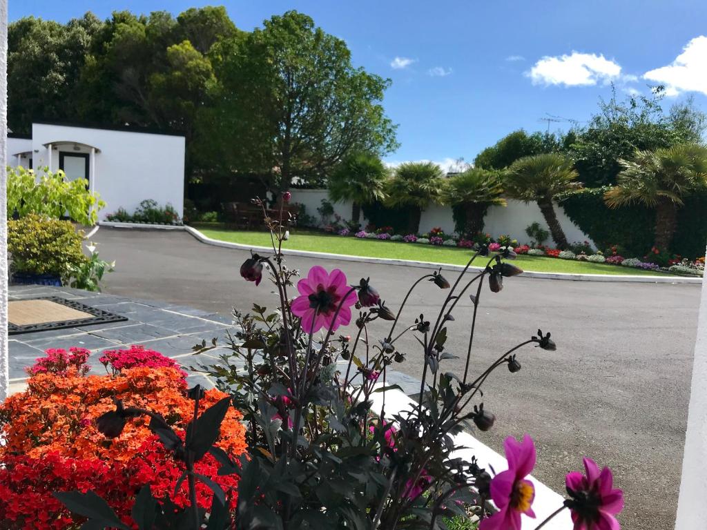 Cascades Motor Lodge - Resim 17