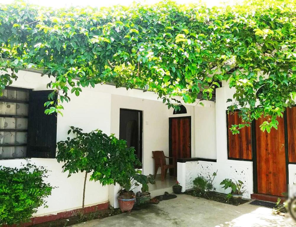 Zahrada ubytování 20 House Arugam