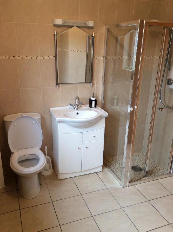ein Bad mit einem WC, einem Waschbecken und einer Dusche in der Unterkunft Erne View Cottage in Kesh