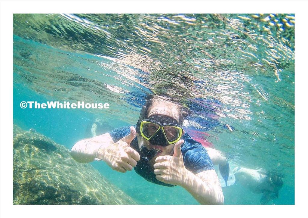 Hosté ubytování The White House