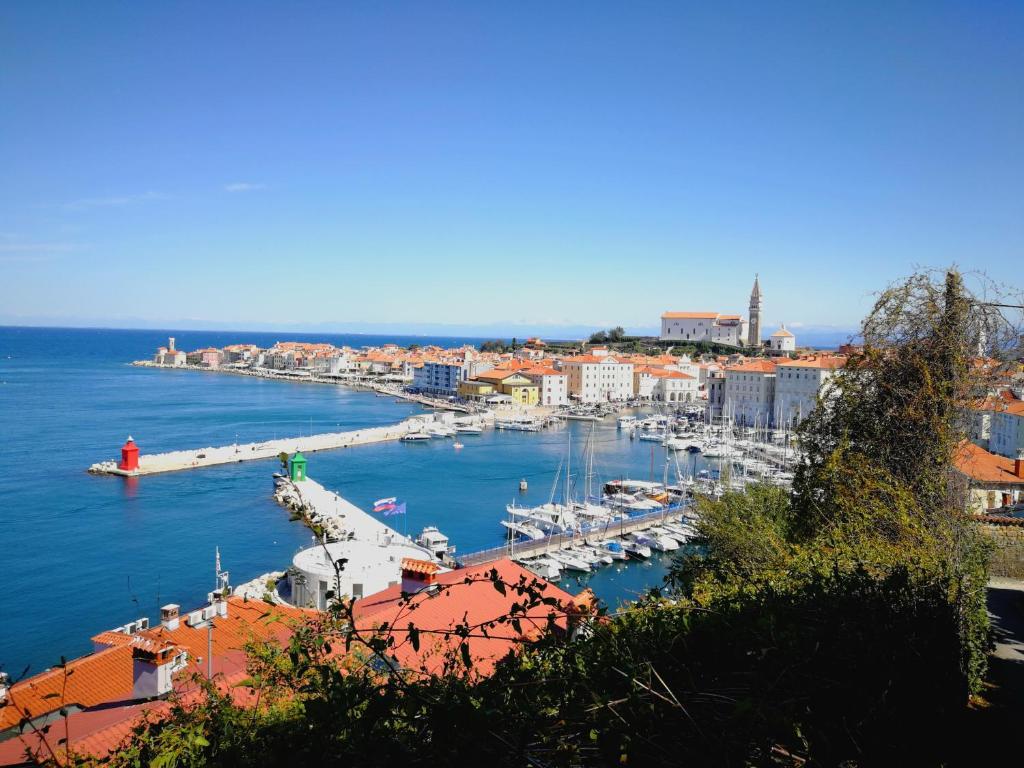 Piran Punta Kim Apartment, Piran (updated prices 2024)