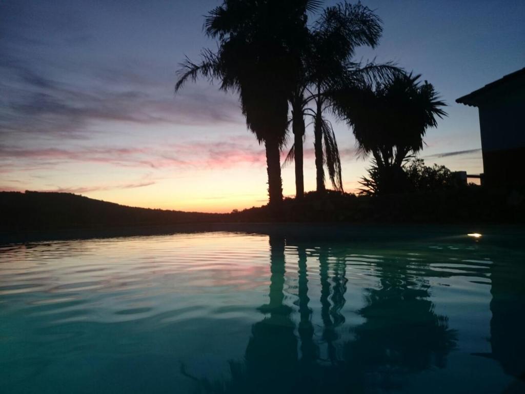 puesta de sol sobre una piscina con palmeras en Finca El Manzano, en Cortegana