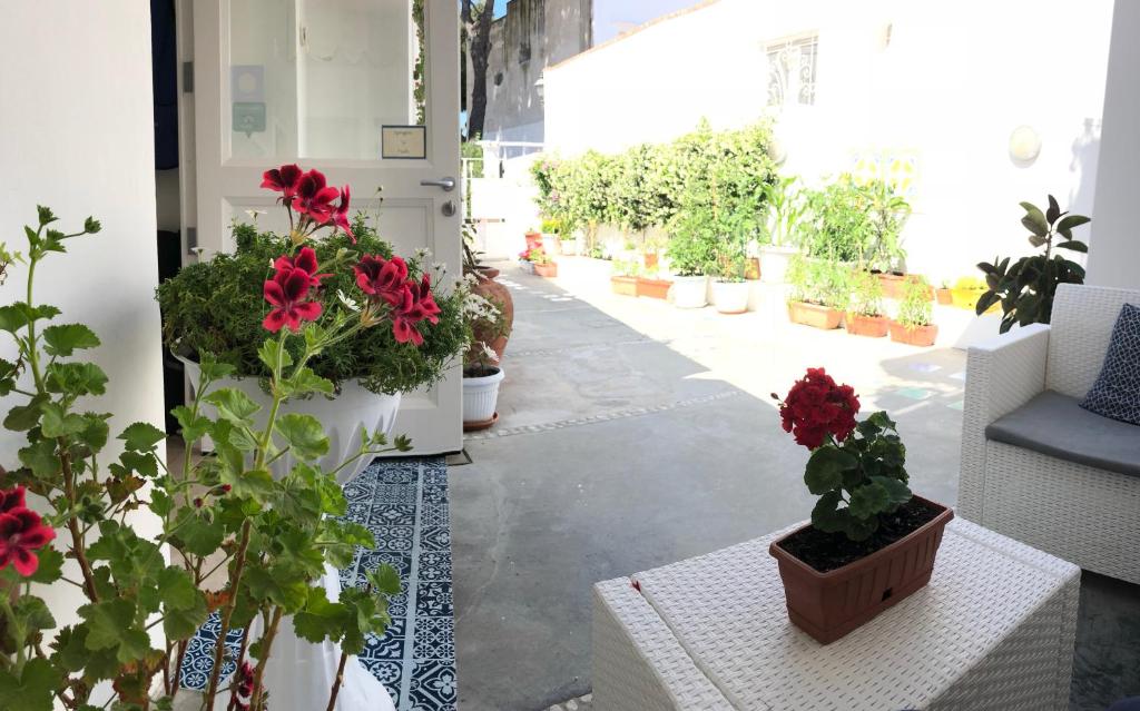 a row of potted plants on a room with a corridor at Villa Pollio Guest House in Anacapri