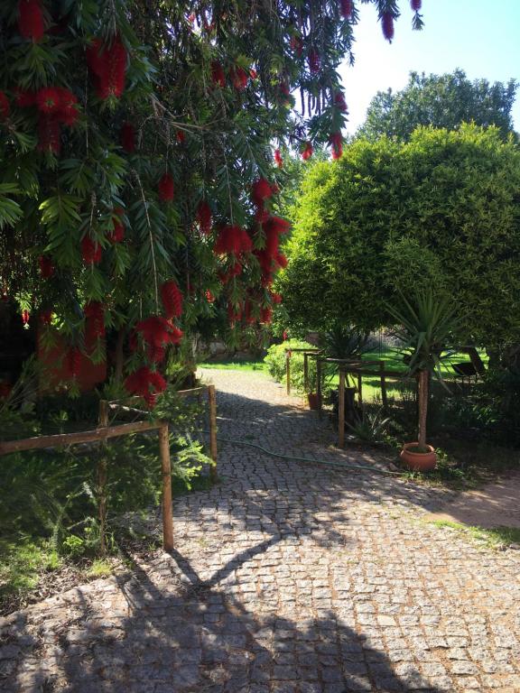 Quinta da Sao Joao - Villa Oliveira - Vakantiehuis