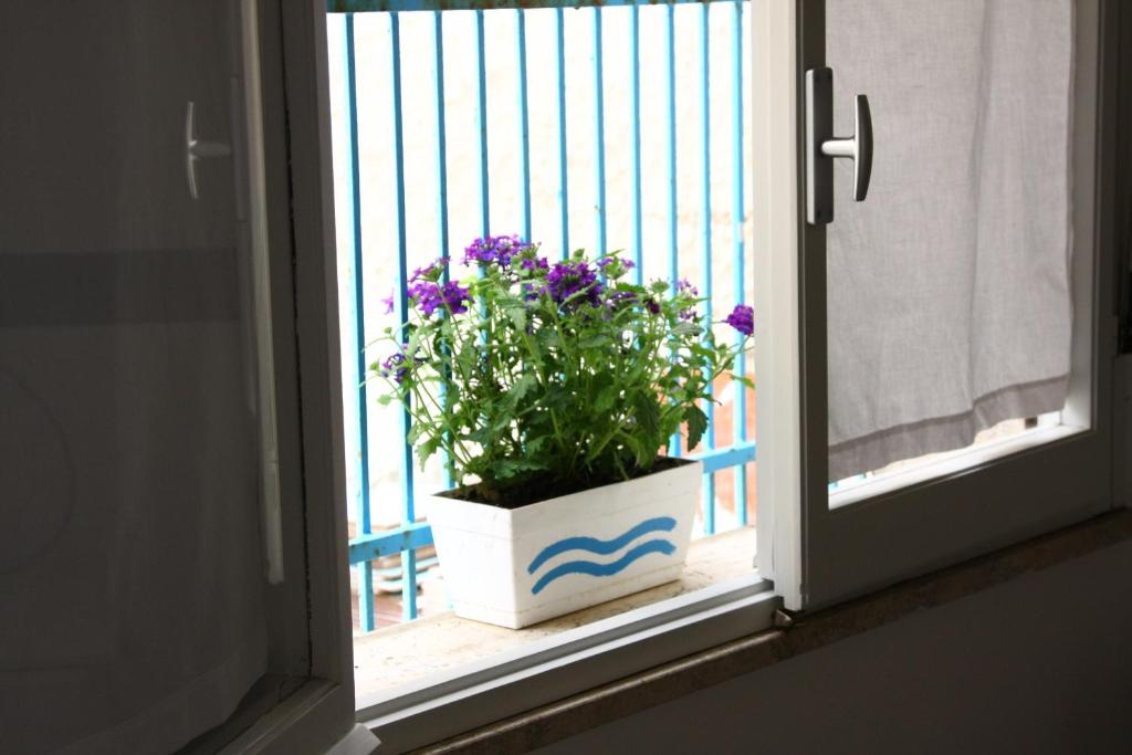 Balkón nebo terasa v ubytování Sa Caletta Appartamenti