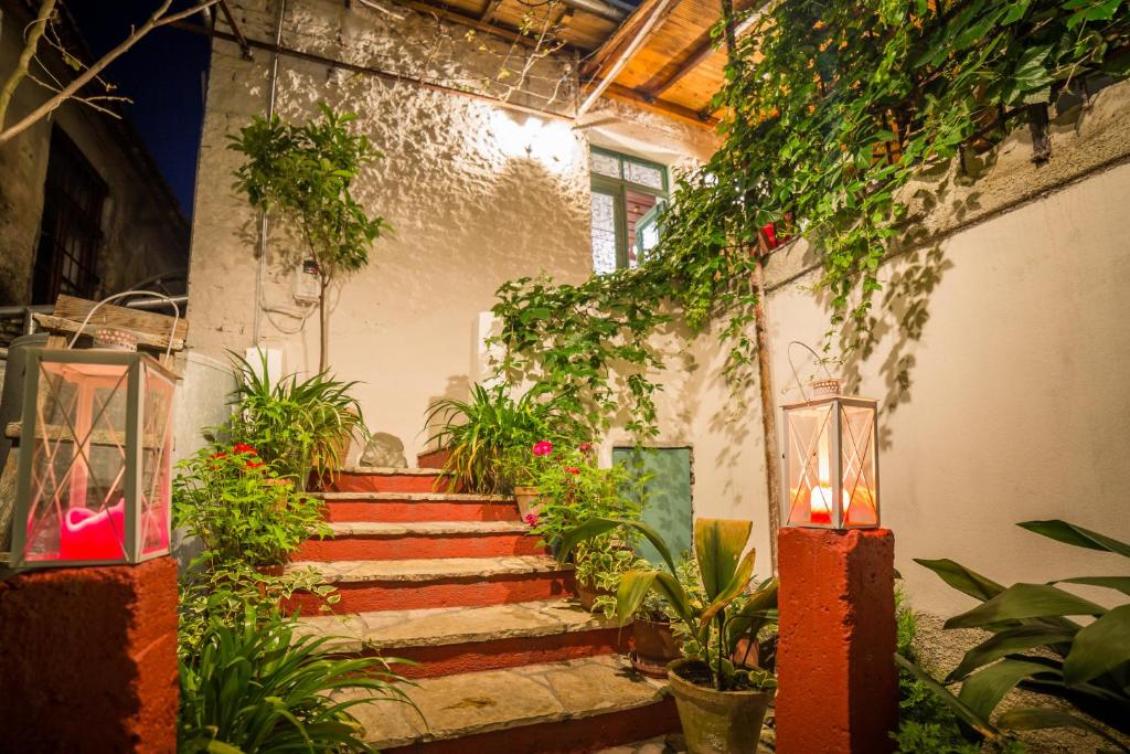 Habitación con escaleras con plantas y luces en Stone City Hostel, en Gjirokastra