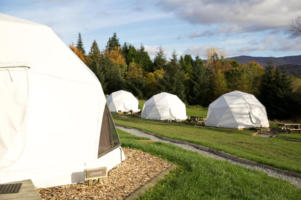 Glamping Dome