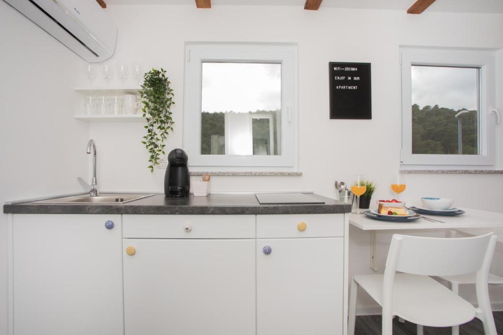 Kuchyňa alebo kuchynka v ubytovaní Studio Apartment Škatula