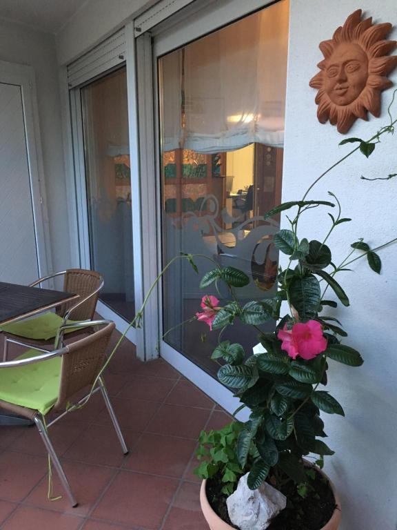 Fotografie z fotogalerie ubytování Hotel Le Palme " Adults only " v destinaci Grado