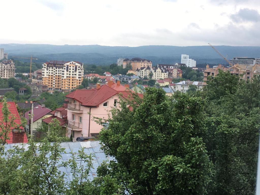 widok na miasto z budynkami i drzewami w obiekcie олан w mieście Truskawiec