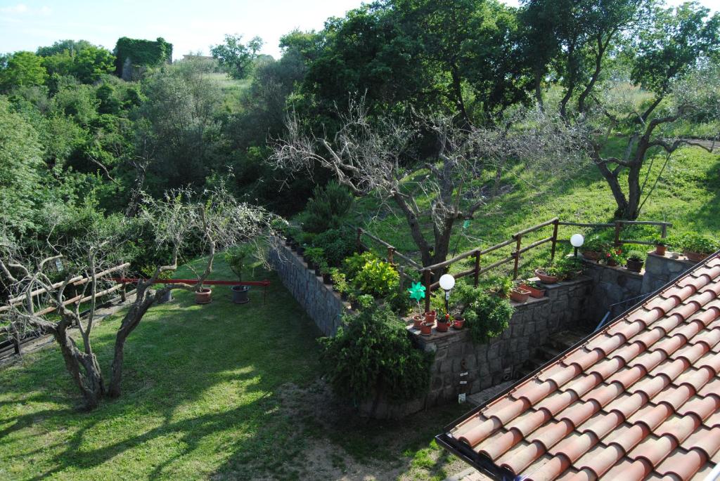 Ogród w obiekcie Villa Farfalla Bianca