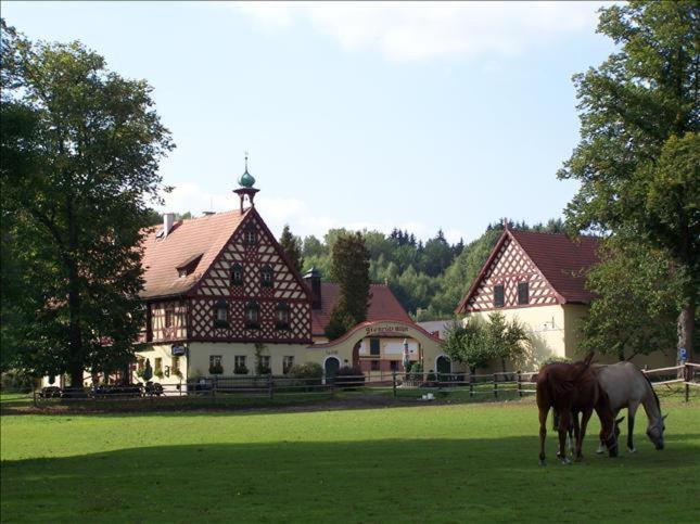 dos caballos pastando en un campo frente a una casa en Penzion Štekrův Mlýn, en Františkovy Lázně