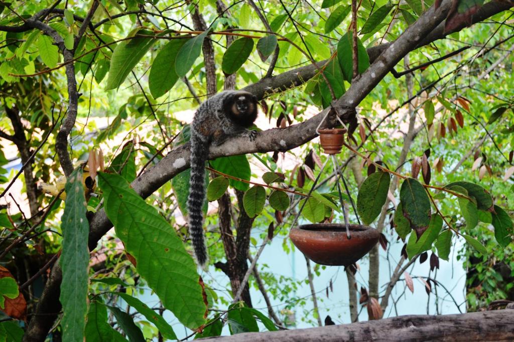  Pousada Alto do Cajueiro