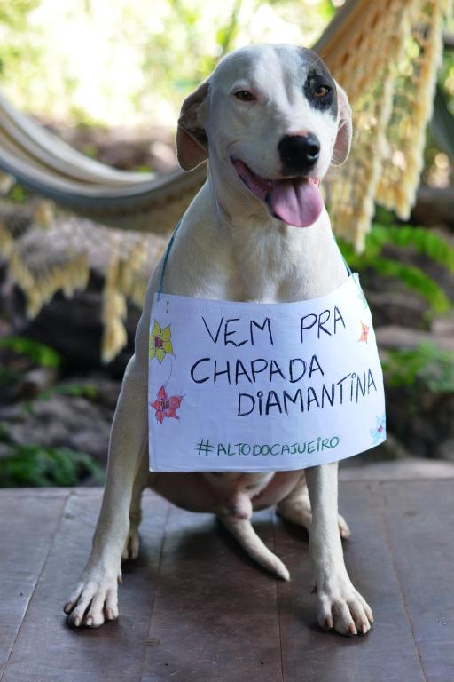 Pet ou pets ficando com hóspedes em Pousada Alto do Cajueiro
