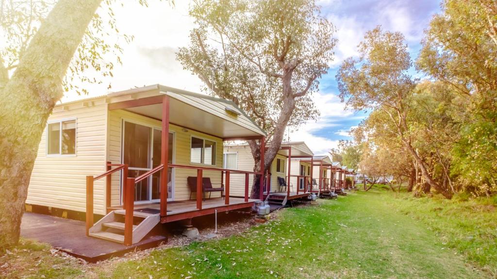 uma fila de casas móveis na floresta em Australind Tourist Park em Australind
