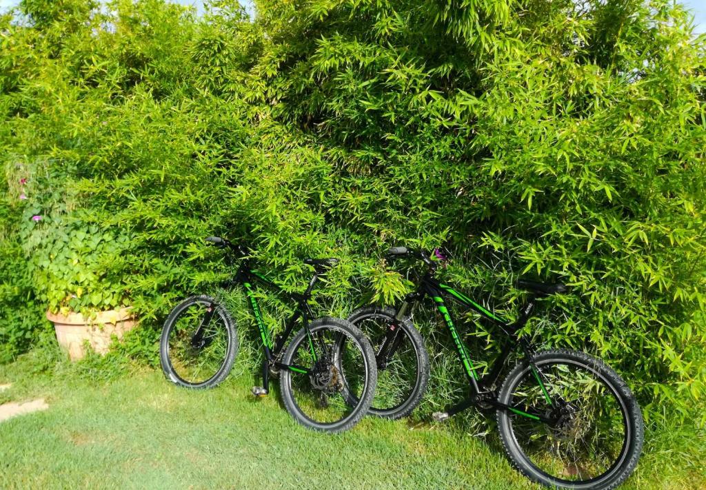 Jízda na kole v ubytování Kiteshomes nebo okolí