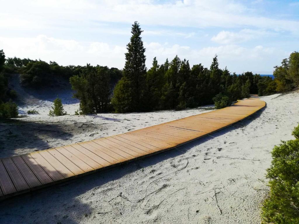 Příroda nedaleko apartmánu