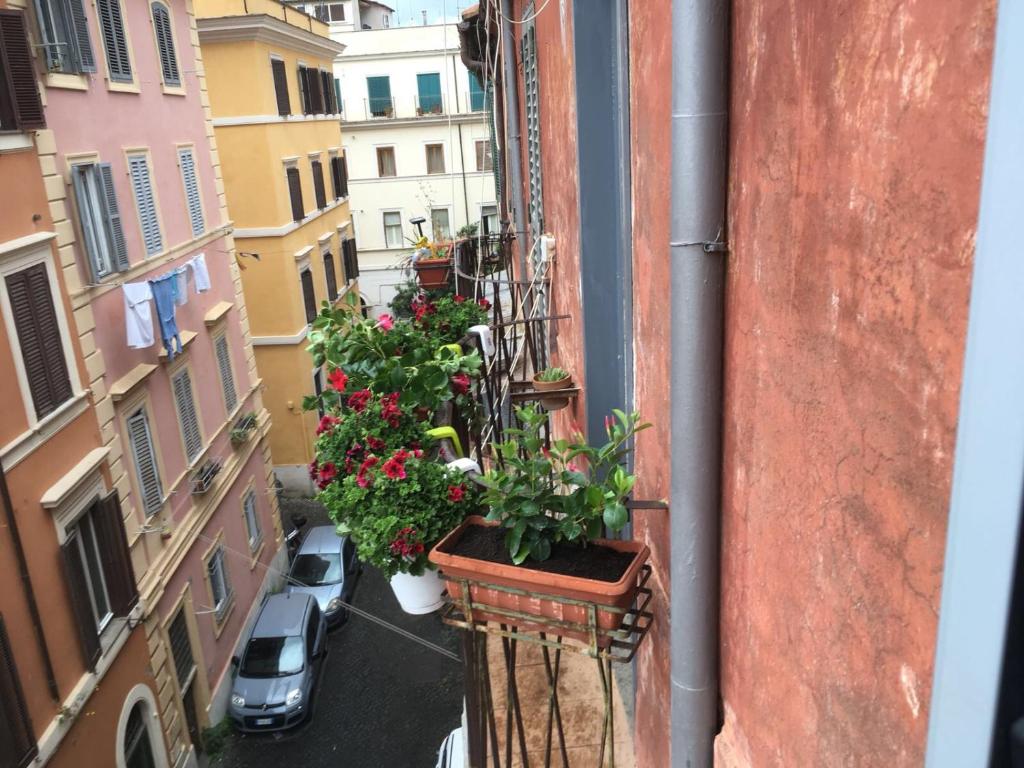 The building in which Az apartmant is located