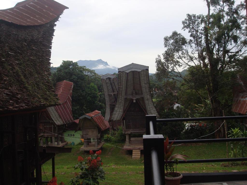 a group of small houses in a yard at Rura Raya Homestay in Rantepao