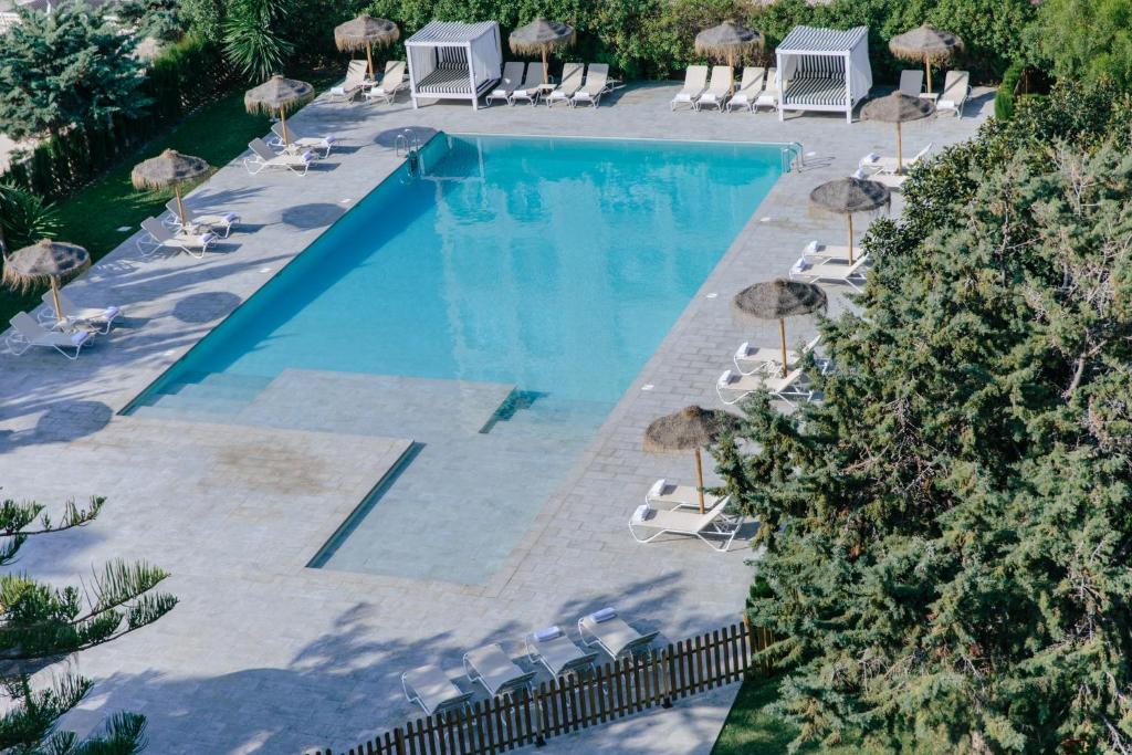 בריכת השחייה שנמצאת ב-Hotel Almirante או באזור