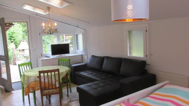 Televisor o centre d'entreteniment de BnB Erlach