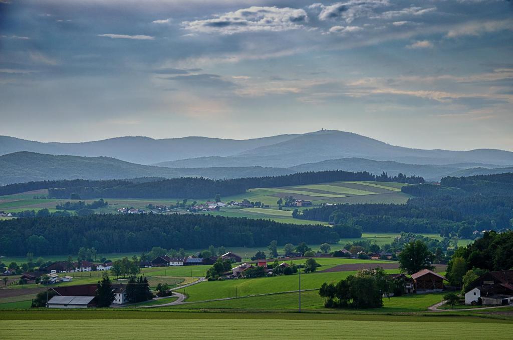Příroda nedaleko hotelu