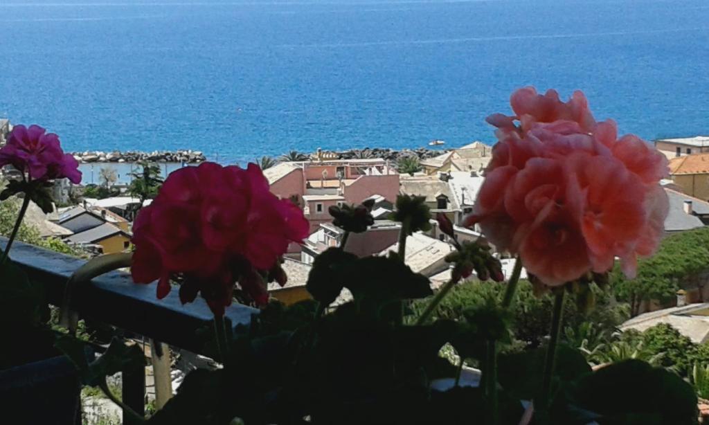 two pink flowers on a balcony with the ocean in the background at Appartamento Bellavista in Moneglia