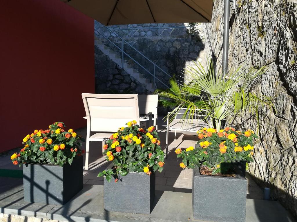 Zahrada ubytování B&B Via delle 5 Terre