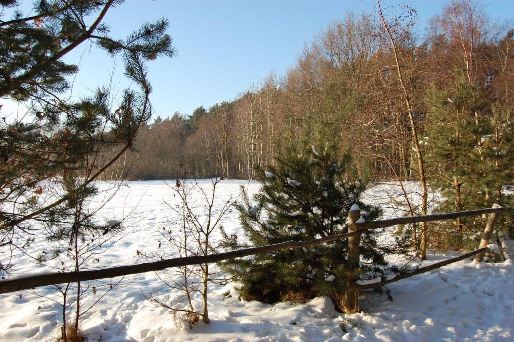 Przyroda w pobliżu tej kwatery prywatnej