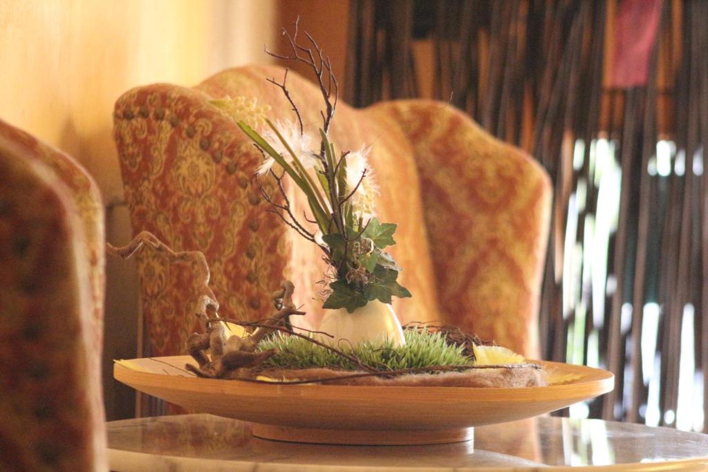 Pension Wachau - Resim 45