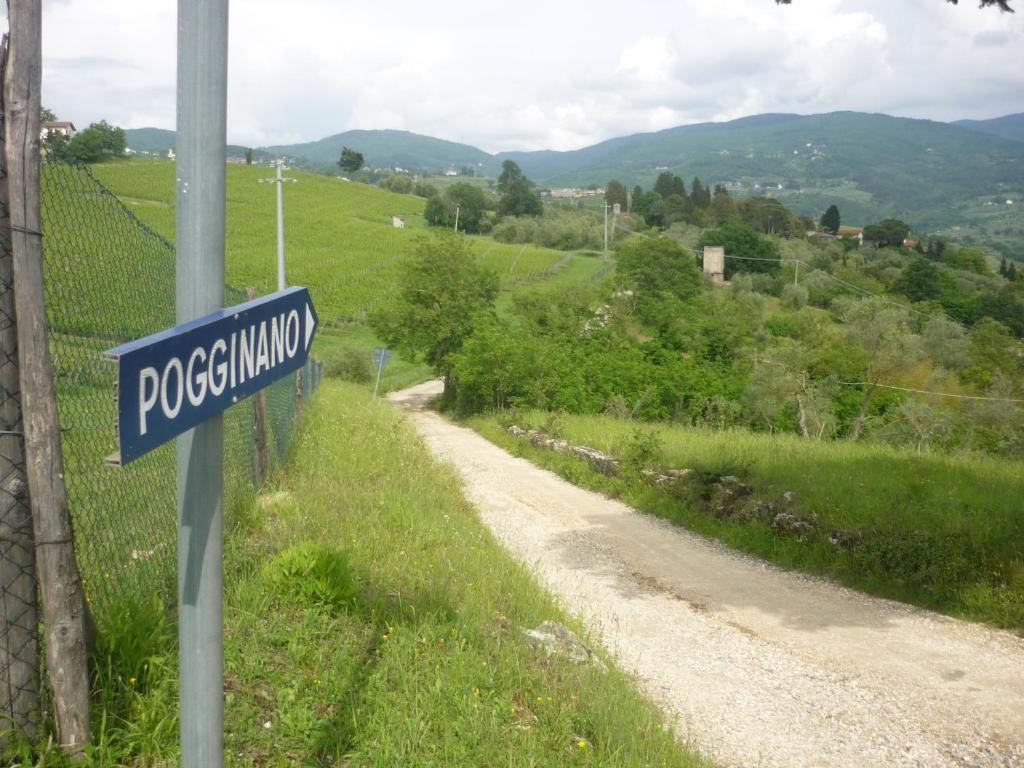Příroda nedaleko venkovského domu