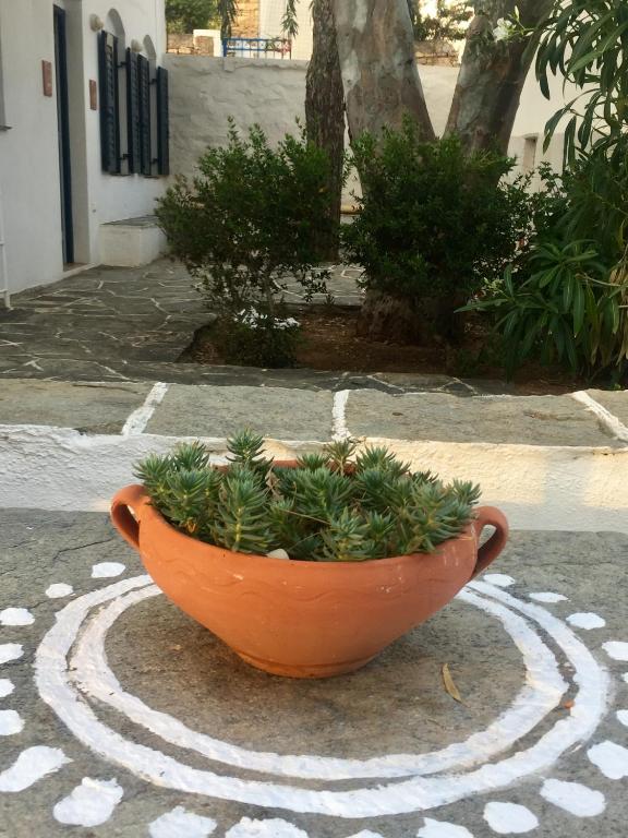 Vonkajšia záhrada v ubytovaní House in Kamares - Sifnos